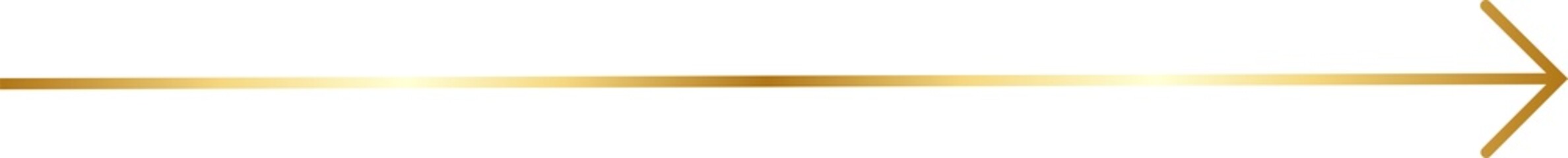 Thin Gold Arrow Design Element
