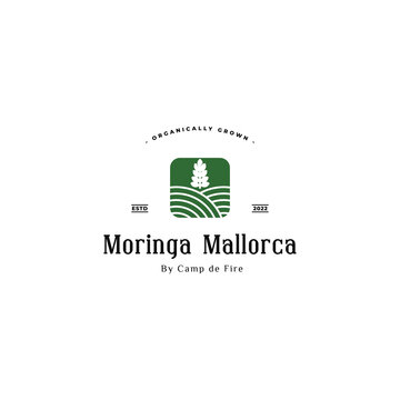 Moringa leaf logo design inspiration. Moringa plantation logo.