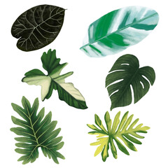 set of green leaves