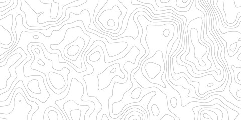 Abstract background vector and topographic pattern line map background. wavy papercut abstract background, wavy line background, geographic grid. Vector illustration