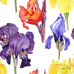 watercolor seamless pattern with drawing flowers, irises and canna lily at white background , hand drawn botanical illustration