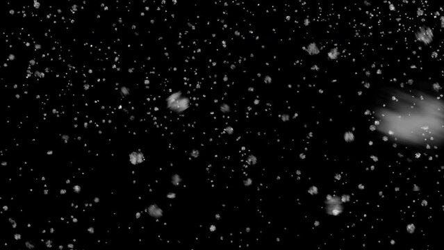 Heavy snow falling background with alpha or transparency animation loop.