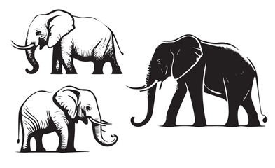 Elephant logo vector illustration. Indian Elephant vector illustration