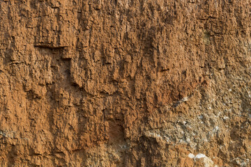 Sedimentary rocks with a high content of iron oxide. Red soil, loam. The texture of the soil.