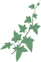 Simplicity ivy freehand drawing