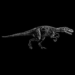 Herrerasaurus hand drawing vector isolated on black background.
