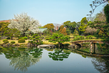 Fototapeta na wymiar Kiyosumi Garden with cherry blossom in Tokyo, Japan