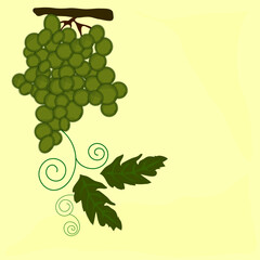 Grapes bunch and leaves card editable template. Suitable for cards, posters and decorations.