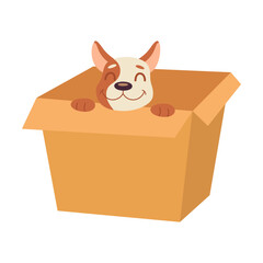 dog sits in cardboard box cartoon illustration. Happy little and elderly pet character growing, playing with ball isolated on white background