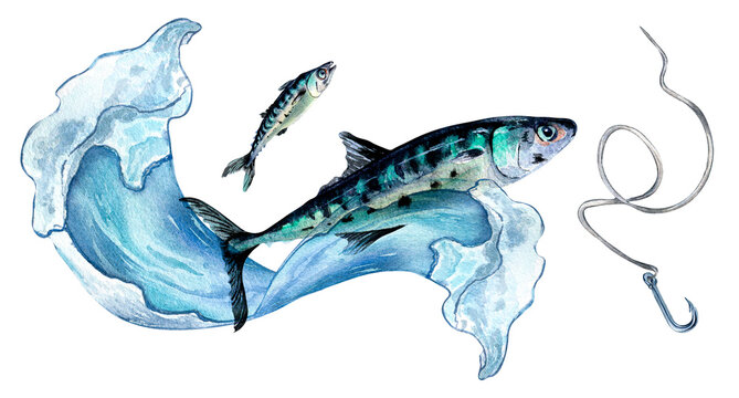 Banner of mackerel and sea wave watercolor illustration isolated on white.