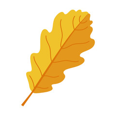 Obraz premium Fallen leaves of oak tree vector illustration. Forest foliage, dry green, yellow, brown, orange leaves isolated on white background