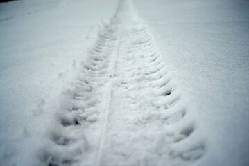 Photo of car tire track in snow