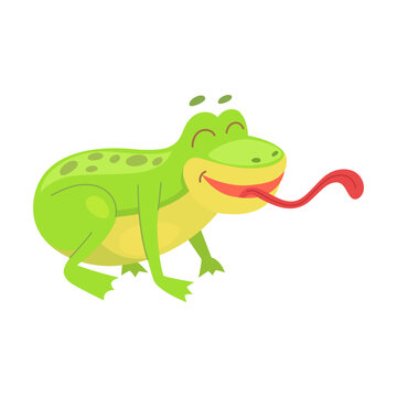 Frog shows a long tongue. Vector illustration of small wild toad with tongue isolated on white