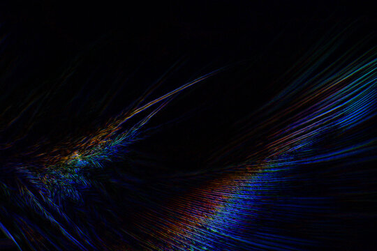 Blue feather of a bird with vibrant colors, amazing illustration with dark background. © Cristiano Costa