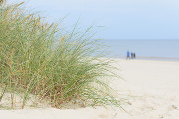 Fototapeta na wymiar Strand bei Swinoujscie auf der Insel Usedom an der polnischen Ostseeküste. Im Hintergrund drei verschwommene Spaziergänger