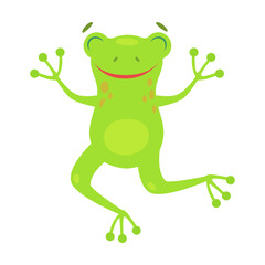 Cute frog fun jumping cartoon illustration. Funny green croaking toad isolated on white background. Flat vector