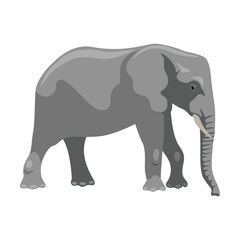 Elephant cartoon illustration. Big African mammal character with large ears and trunk on white background. Animal, zoo