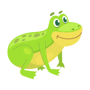 Green frog sits and looks ahead. Vector illustration of small wild toad with tongue isolated on white
