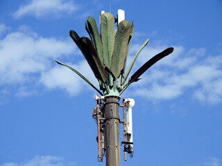 cell phone tower in Egypt or cellular phone antenna disguised on fake palm tree placed at proper intervals along highways and byways to communicate over cell phones and transmit radio waves