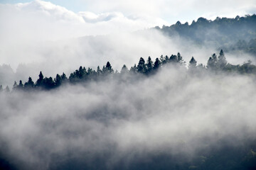 Sea of mist on the mountains in the National Park area