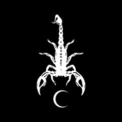 scorpion silhouette vector illustration concept - obrazy, fototapety, plakaty
