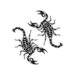 vector illustration of two scorpions