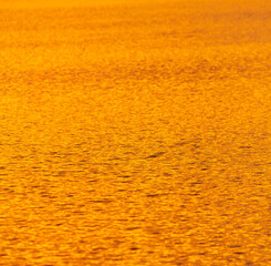Golden expanse of water at sunset.