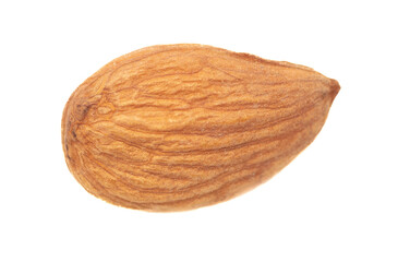 One almond nut isolated on white background.