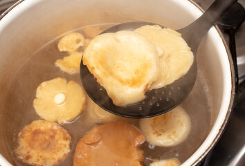 Mushrooms are boiled in a saucepan.