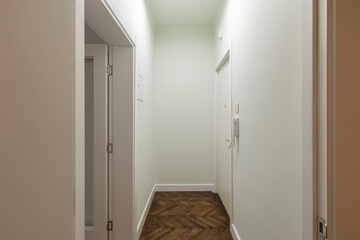 Apartment interior, entrance corridor with white doors