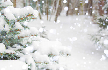 Winter landscape, background. Forest, trees in the snow. Snowfall. 