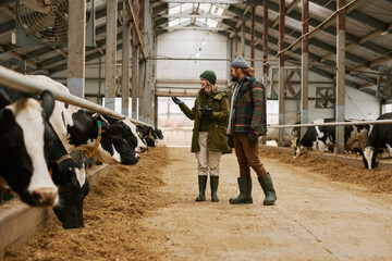Agronomist discussing agriculture together with farmer they walking along the barn and examining...