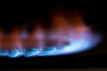 Gas burns in the dark close-up, gas stove