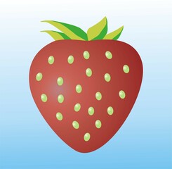 vector white background strawberry fruit