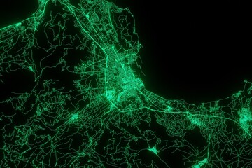 Map of the streets of Palermo (Italy) made with green illumination and glow effect. Top view on roads network. 3d render, illustration