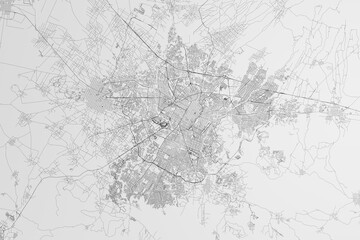 Fototapeta na wymiar Map of the streets of Puebla City (Mexico) on white background. 3d render, illustration