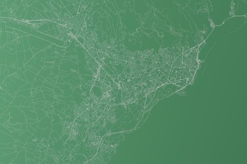 Stylized map of the streets of Santa Cruz de Tenerife (Canary islands, Spain) made with white lines on green background. Top view. 3d render, illustration