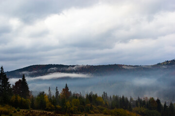 Autumn landscape with fog in the mountains. Fir forest on the hills. Carpathians, Ukraine, Europe. High quality photo