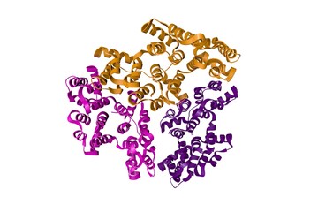 High-calcium form of annexin V. Ribbons diagram with differently colored protein chains based on protein data bank entry 1anx. Scientific background. 3d illustration