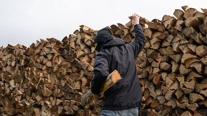 Energiekrise in Deutschland - Holzdiebstahl - Dieb klaut aufgestapeltes Brennholz im Wald aufgrund...