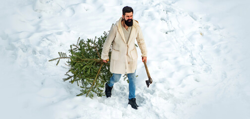 Bearded man is carrying Christmas tree in the wood. Christmas tree cut. Lumberjack bears fir tree in the white snow background.