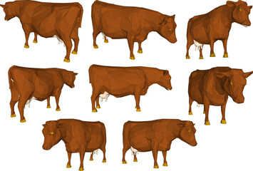 collection of big cows