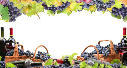 Frame of wine grapes isolated