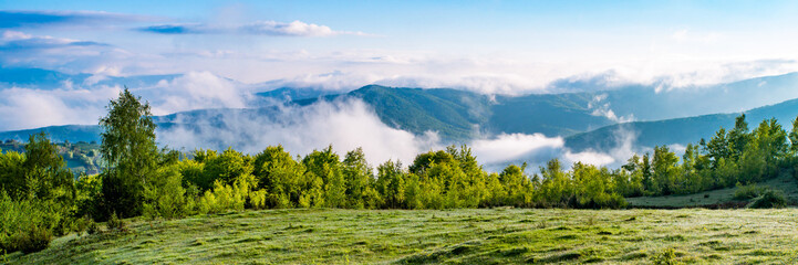 Panoramic view. A lush mountain valley covered in fog on a sunny day with green alpine meadows. Location Carpathians, Ukraine, Europe. Bright photo wallpapers. Discover the beauty of the earth. 
