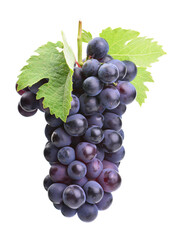 Bunch of grapes isolated on white background
