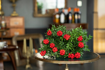 Turkey Christmas Flower 'Cochina' Photo, Kadikoy Istanbul, Turkey