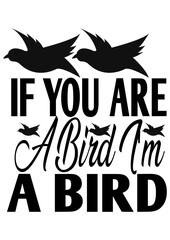 if you are a bird i'm a bird