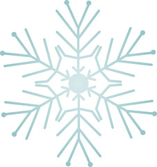 Snowflake Crystal in Winter