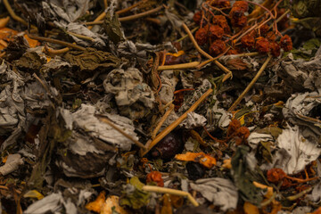 Dry tea leaves as a background.
