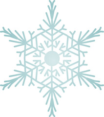 Snowflake Crystal in Winter